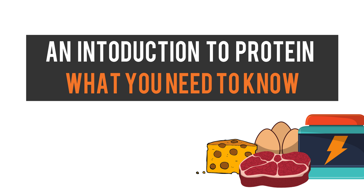 An introduction to protein - what you need to know