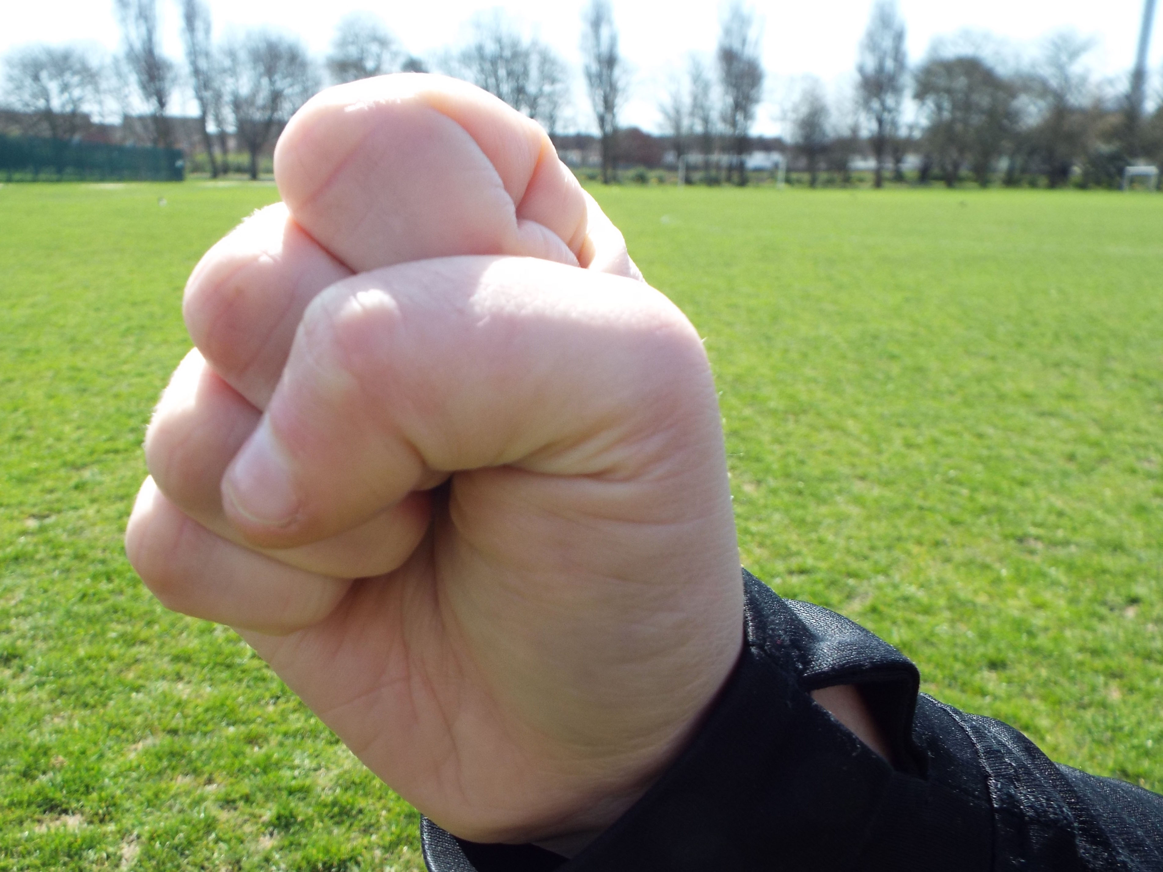 Correct fist