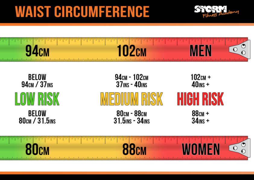 80 Cm Waist Circumference