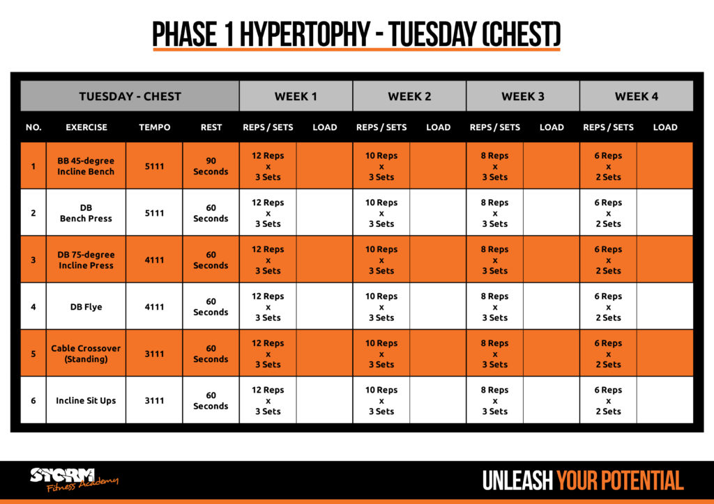 Phase 1 - chest day