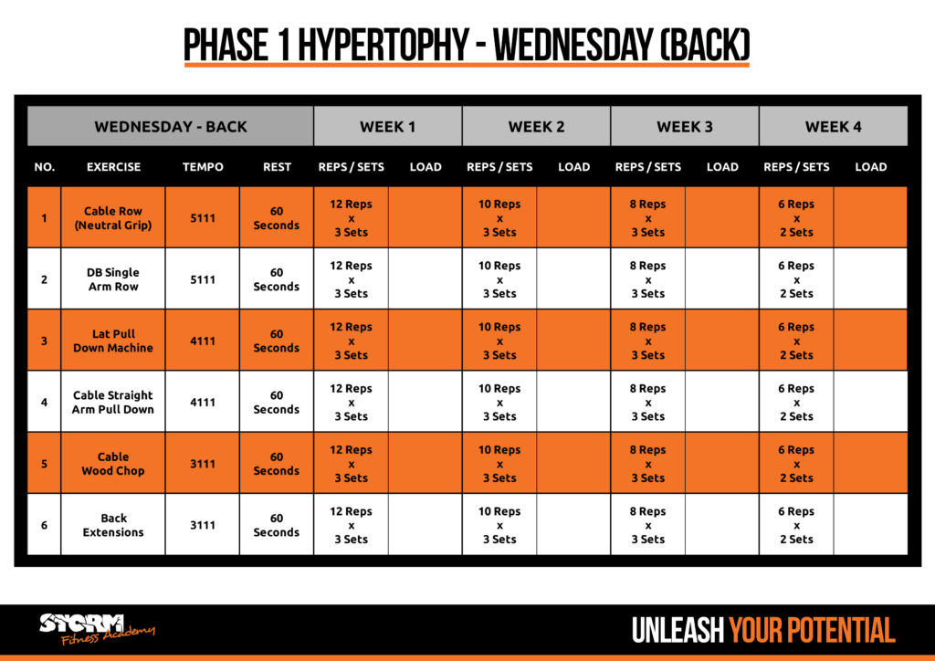 Phase 1 - Back day