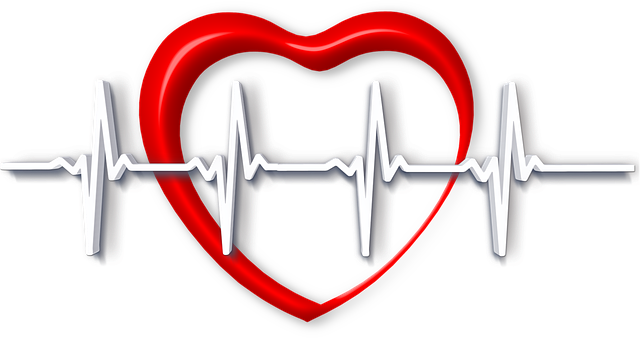 Academy heart rate monitor deals