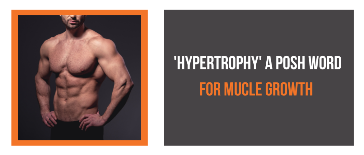 What is hypertrophy? Storm Fitness Academy