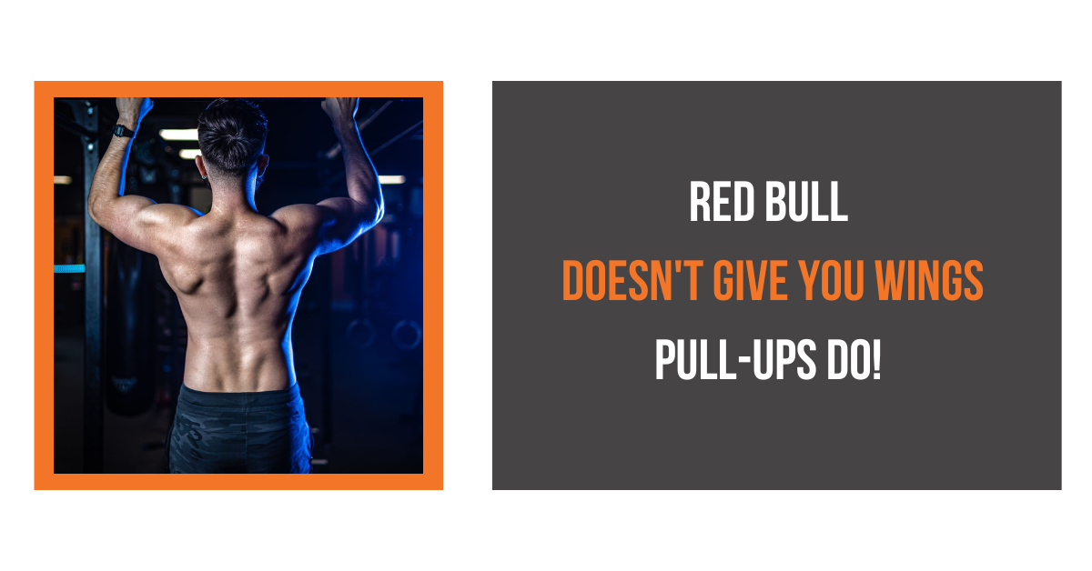 an article on back hypertrophy