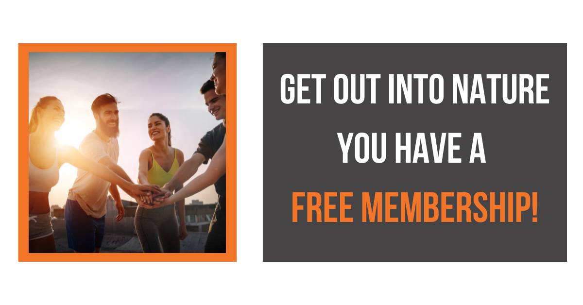 this image links to an article on the benefits of green spaces