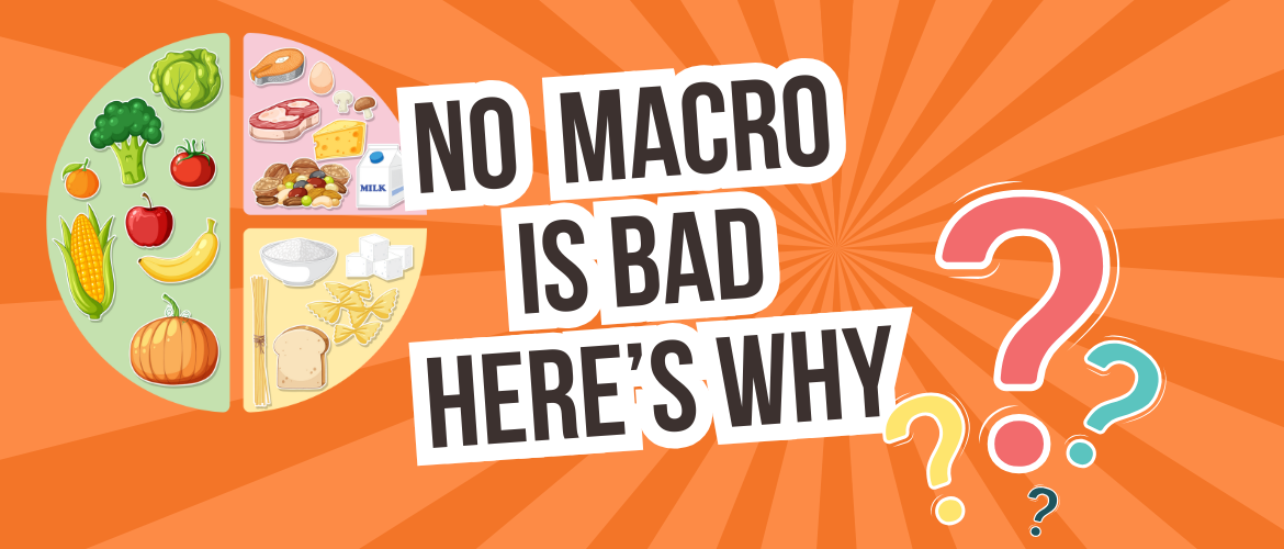 this image linked to an article on macronutrients and energy systems